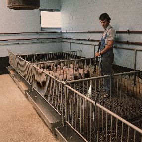 長沙鴻森機(jī)械有限公司,高壓清洗機(jī),噴霧降溫降塵,工業(yè)清洗機(jī), 長沙鴻森機(jī)械有限公司,高壓清洗機(jī),噴霧降溫降塵,工業(yè)清洗機(jī),